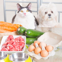 fresh food for pets