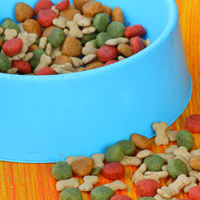 Pet Food Recalls and Food Safety